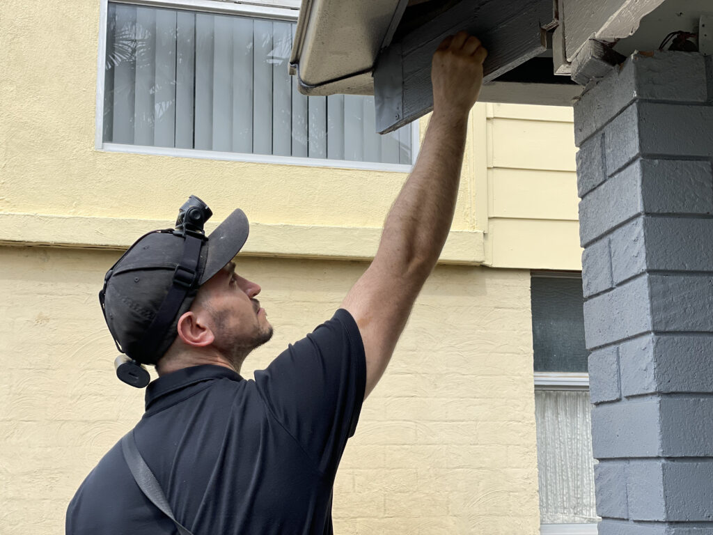 ASCERT Newcastle licensed builder