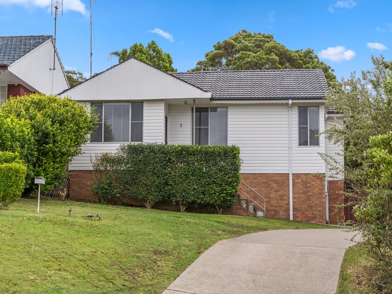 Rising damp inspection Newcastle home